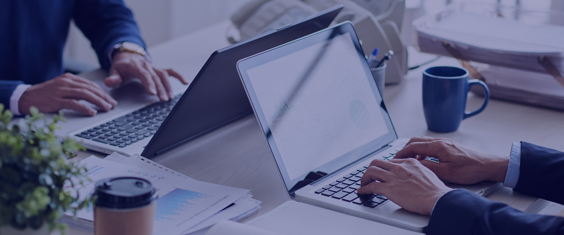 WANGJIE TRADE CO., LIMITED——Specialised cross-border trade service provider for optical imaging solutions supply chains