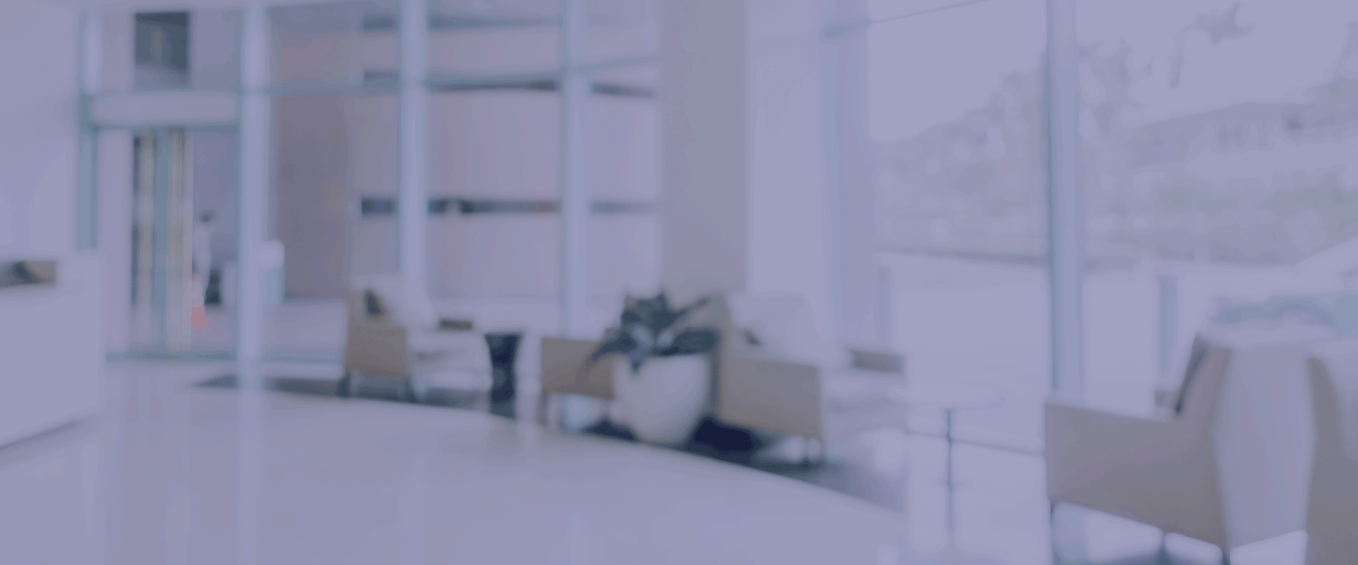 WANGJIE TRADE CO., LIMITED——Specialised cross-border trade service provider for optical imaging solutions supply chains